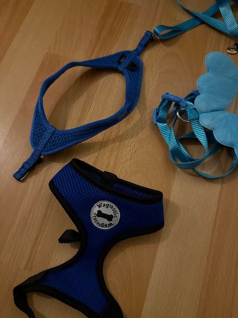 Honden tuigje, Ophalen of Verzenden, Zo goed als nieuw