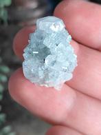 Heldere apofyliet, Ophalen of Verzenden