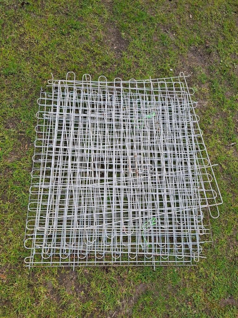 Konijnen ren, Dieren en Toebehoren, Ophalen, Overige typen