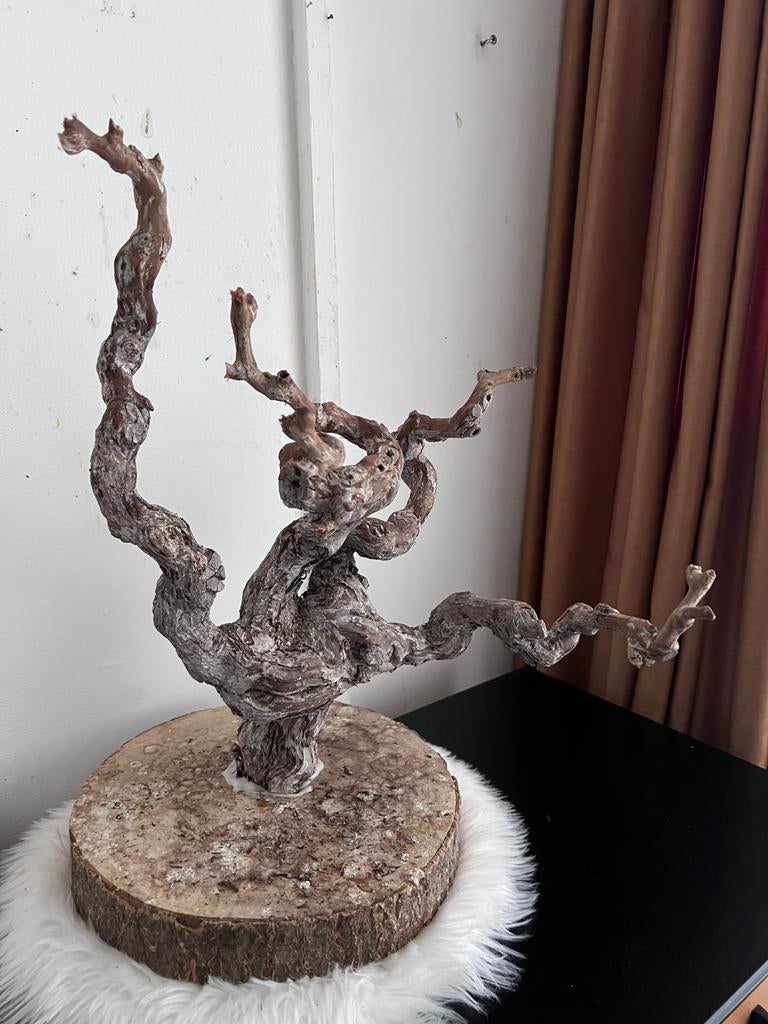 vogel / parkieten standaard, Meerdere dieren, Parkiet