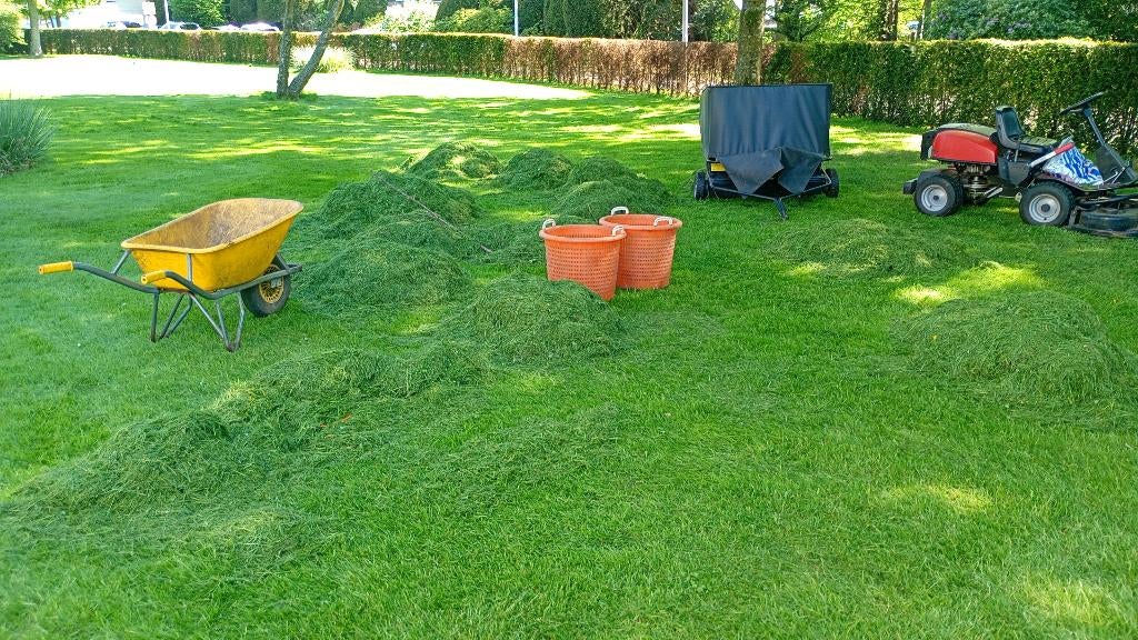 tuinonderhoud, Diensten en Vakmensen, Tuinmannen en Stratenmakers, Tuinonderhoud of Snoeiwerk