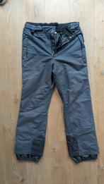 Donker grijze skibroek heren L, Ophalen, Gedragen, Maat 52/54 (L), Broek