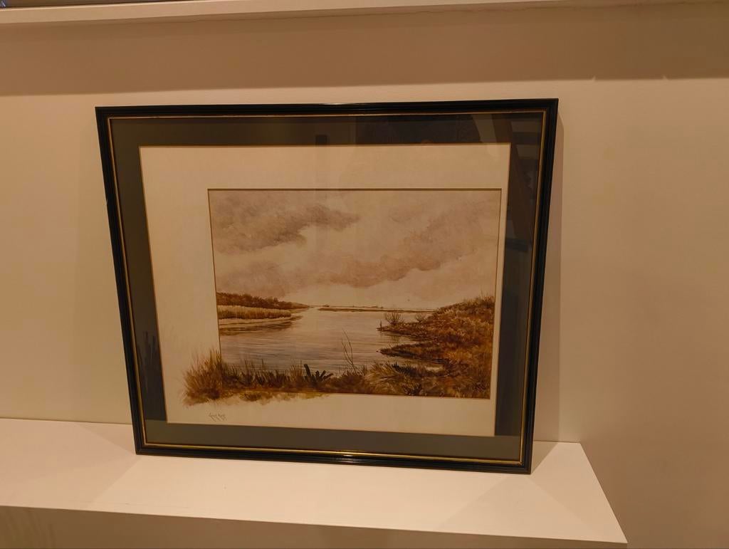 2 prachtige schilderijen Biesbosch gezicht, Ophalen of Verzenden