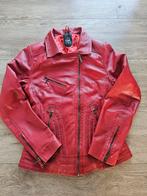 Rode leren jas maat XS/S, Ophalen of Verzenden, Zo goed als nieuw, Maat 34 (XS) of kleiner, Rood