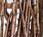 Gezocht Stammen Els , berk en wilg, Minder dan 3 m³, Ophalen, Overige houtsoorten, Stammen