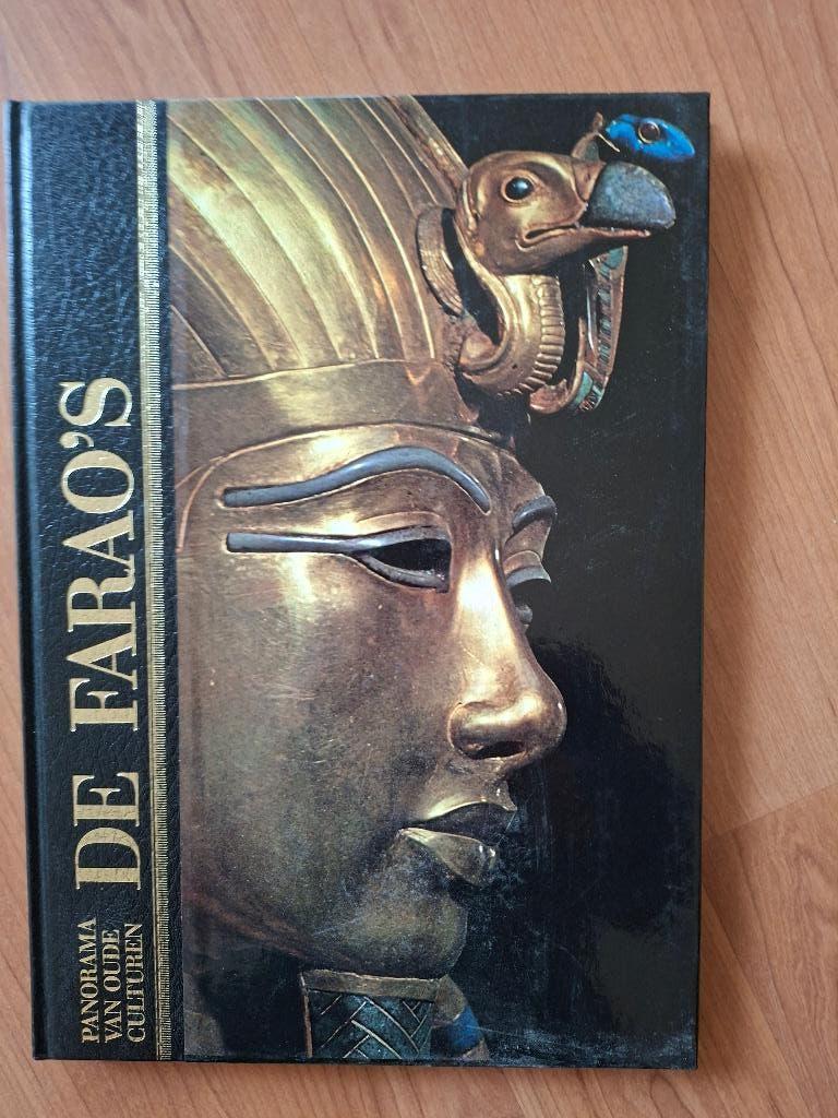 Boeken Panorama van oude culturen, Boeken, Ophalen of Verzenden, Zo goed als nieuw