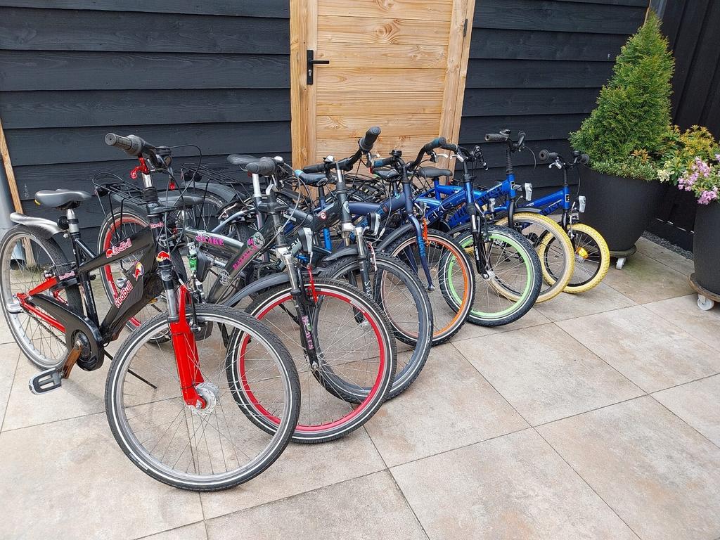 VERSCHILLENDE JONGENSFIETSEN, Ophalen, Gebruikt, 22 inch, Batavus Snake Alpina Trial Yabber cube bulls loekie sparta