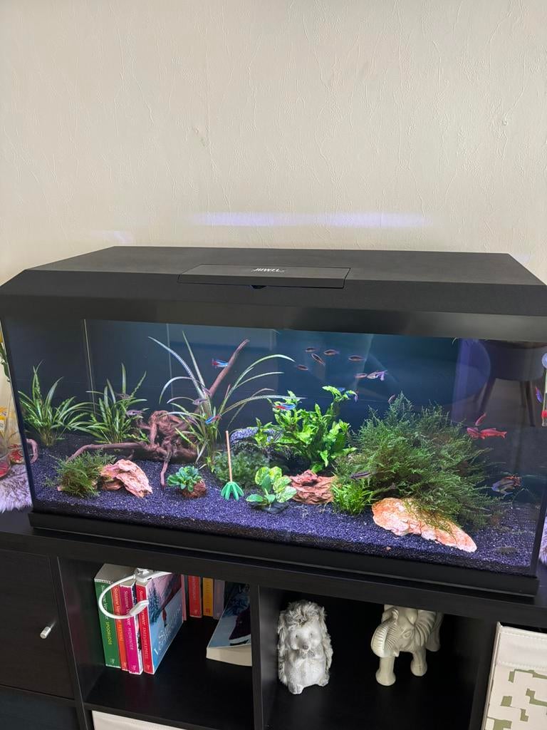 aquarium  juwel primo novolux led 2.0  110 liter te koop, Ophalen of Verzenden, Zo goed als nieuw, Gevuld zoetwateraquarium