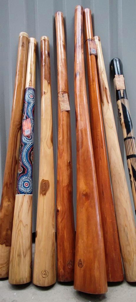 Grote partij didgeridoos, Muziek en Instrumenten, Blaasinstrumenten | Didgeridoos, Zo goed als nieuw, Ophalen of Verzenden