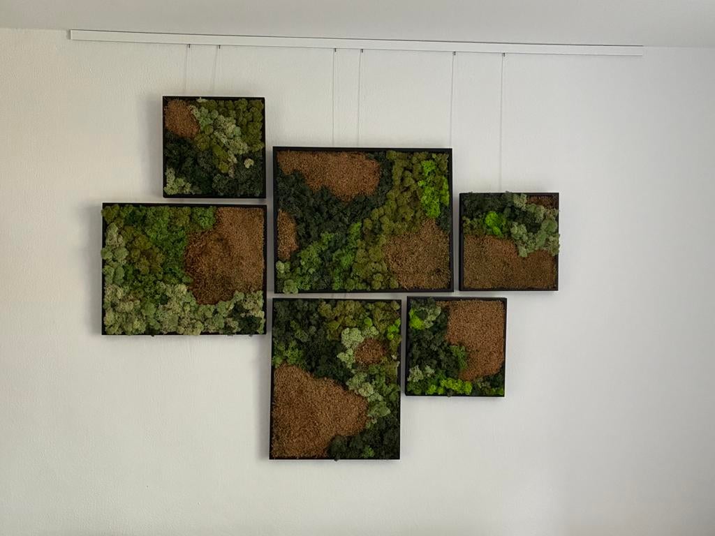 Schilderij 150x120cm rendiermos en platmos, Ophalen, Gebruikt, 125 cm of meer, Schilderij