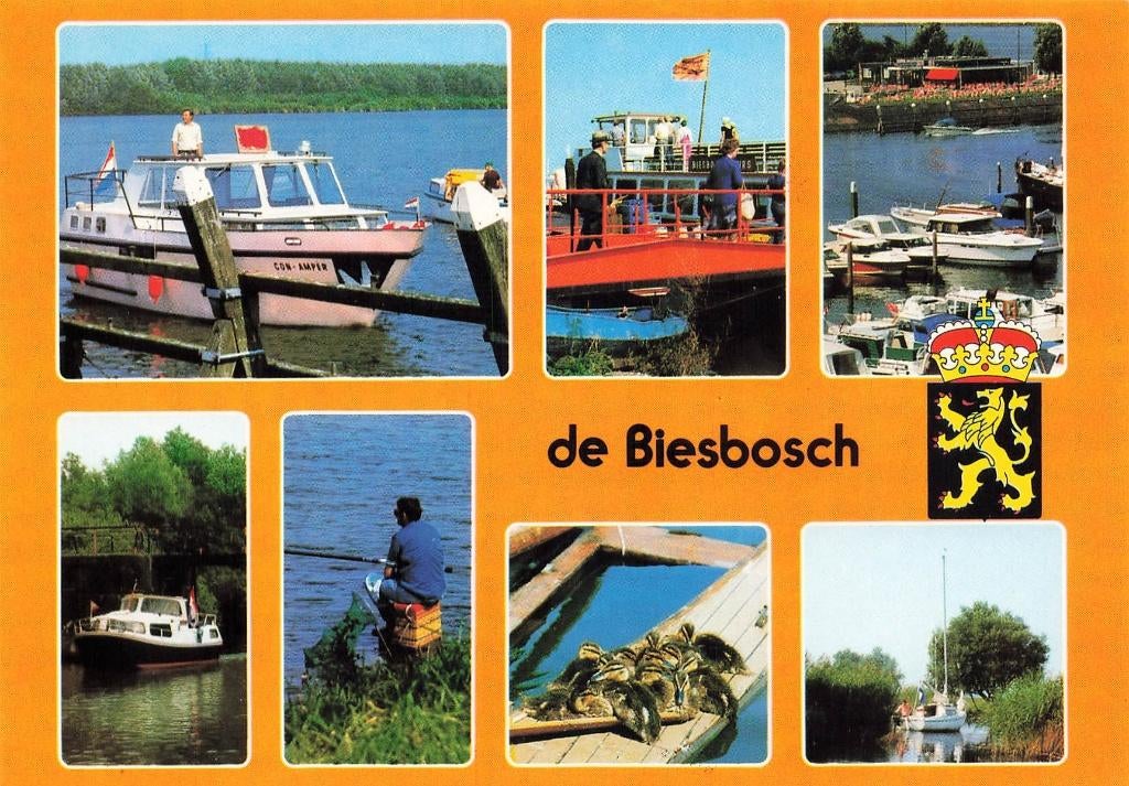 de Biesbosch, Ophalen of Verzenden, 1980 tot heden, Ongelopen, Noord-Brabant