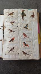 Verzameling suikerzakjes, Ophalen of Verzenden