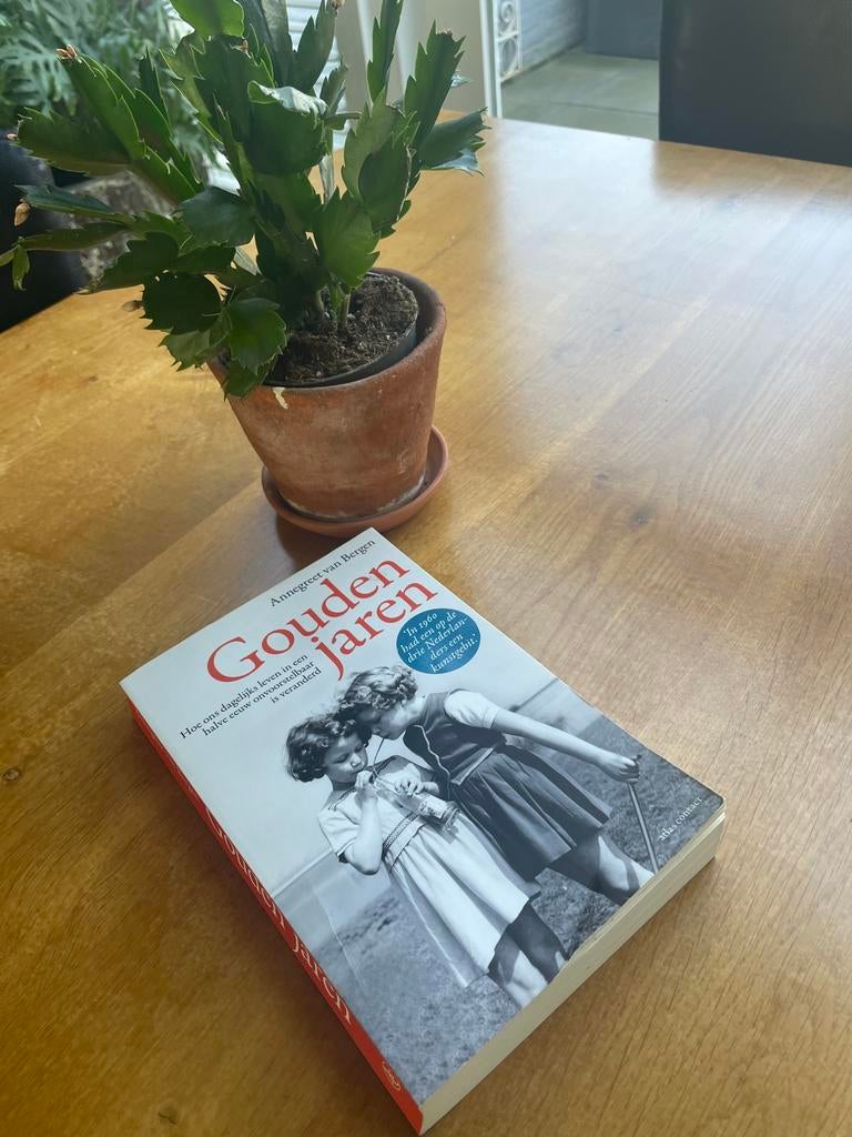 Gouden Jaren - Annegreet van Bergen, Boeken, Ophalen of Verzenden, Gelezen, Overige