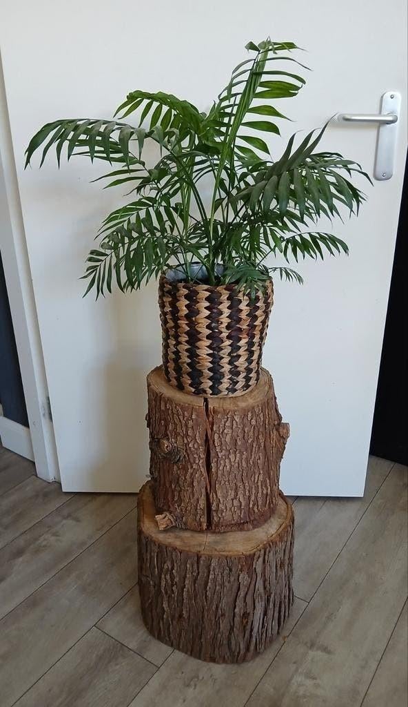 Plantentafel - 2 boomstammen met schors - houten tafel hout, Ophalen