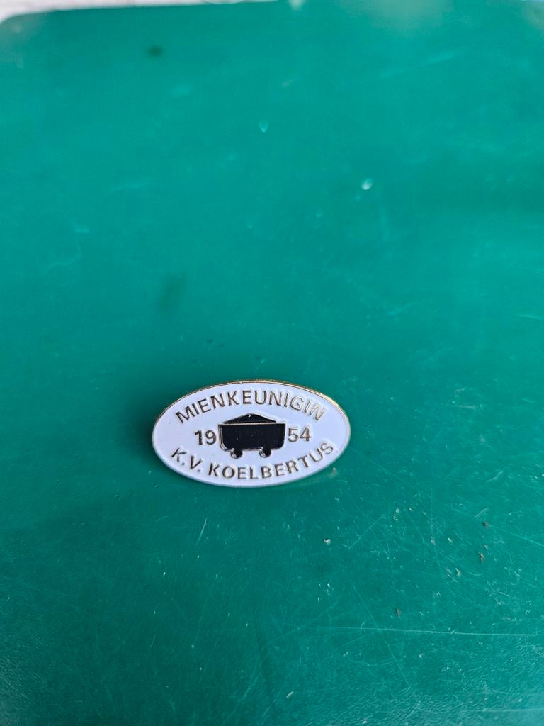 CARNAVALSPINS NEDERLAND SERIE 6, Verzamelen, Speldjes, Pins en Buttons, Gebruikt, Speldje of Pin, Overige onderwerpen, Verzenden