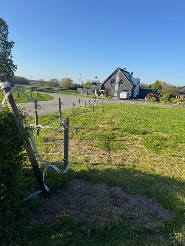 Gebruikte Weidepalen, Tuin en Terras, Palen, Balken en Planken, Ophalen, Gebruikt, Minder dan 180 cm, Palen