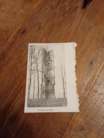 Knipsel ruïne van Strijen 1910, Ophalen of Verzenden, Voor 1920, Knipsel(s)