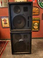 Peavey boxen met versterker, Audio, Tv en Foto, Gebruikt, 120 watt of meer, Front, Rear of Stereo speakers, Ophalen
