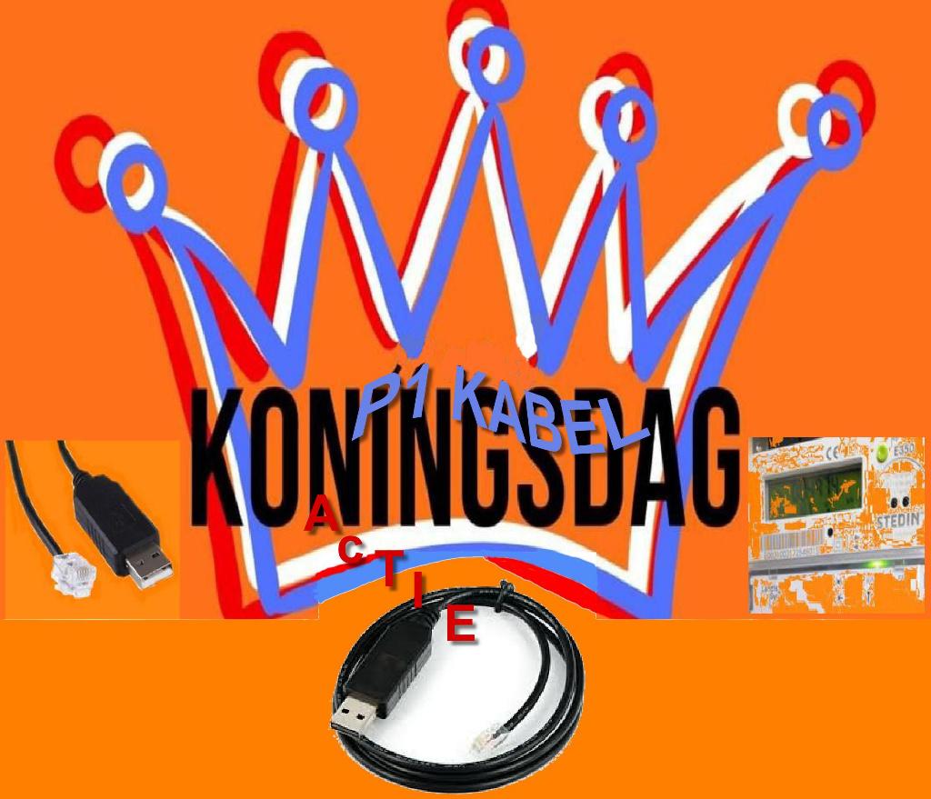 👑 Slimme P1 Kabel 👑, P1 Kabel, Overige soorten, Verzenden, Nieuw