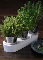 WMF Gourmet kruidentuinset, Ophalen of Verzenden, Zo goed als nieuw