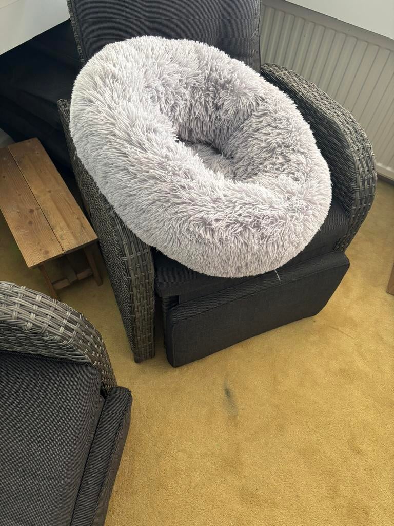 Honden, puppy, poezenmand., Ophalen, Zo goed als nieuw, Overige