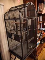 Stevige vogelkooi op zwenkwielen, Dieren en Toebehoren, Ophalen