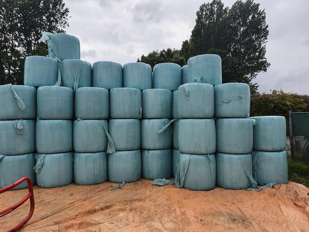 Te koop midibalen hooi/voordroog. Midi balen ruwvoer., Dieren en Toebehoren, Dierenvoeding, Ophalen, Vee