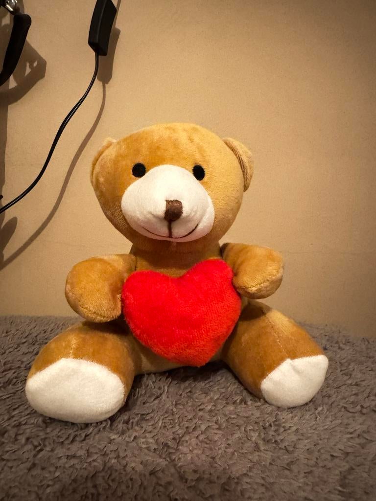 Teddybeer met rood hart, Ophalen, Beer, Zo goed als nieuw, Middelgroot (20 tot 80 cm)