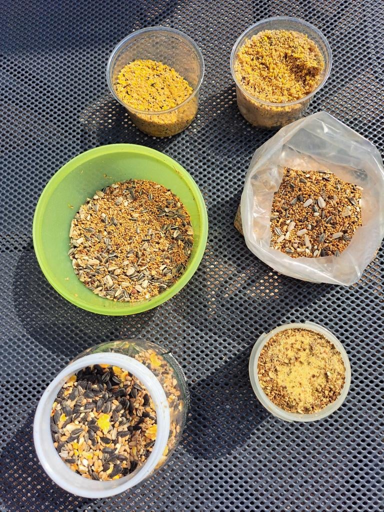 Parkieten voer, Meerdere dieren, Parkiet