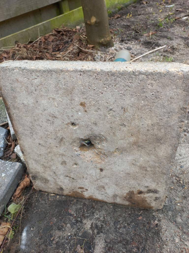 Tuin lantaarn, Gebruikt, Staande lamp, Ophalen of Verzenden, Netvoeding