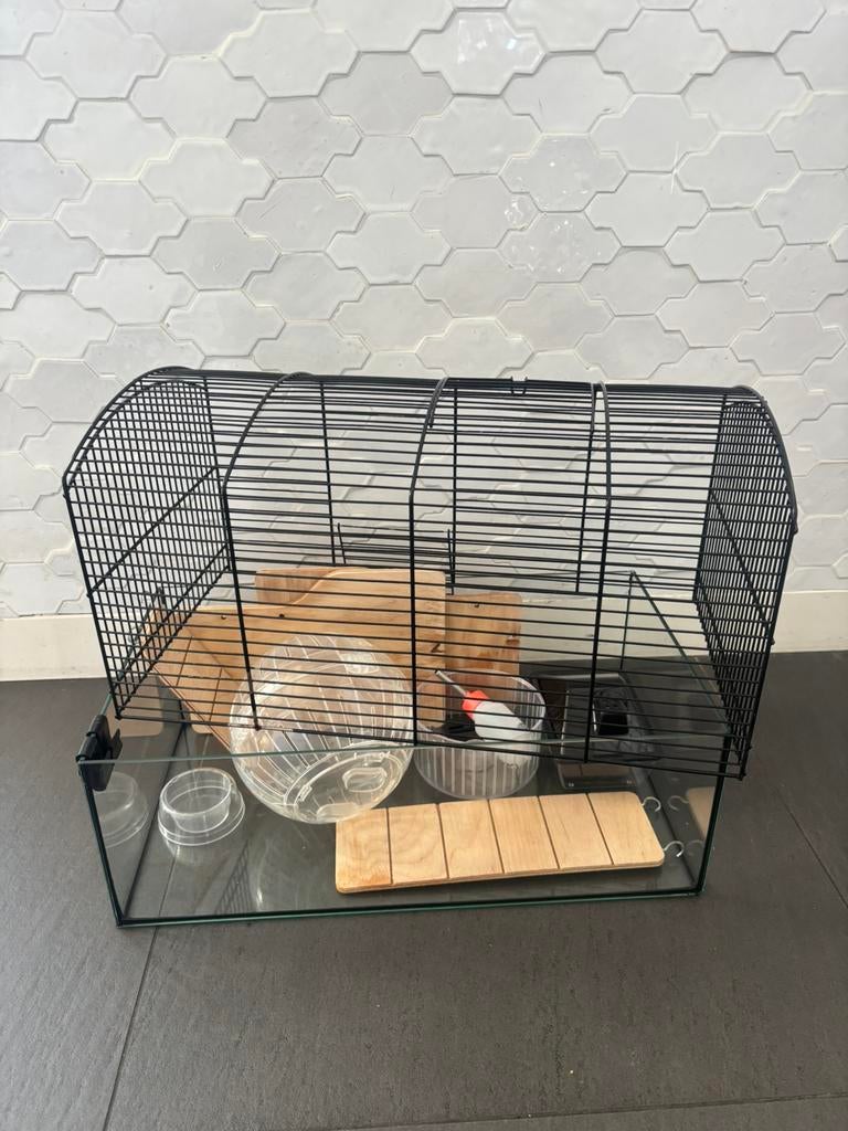 Hamsterkooi met veel extra spulletjes, Dieren en Toebehoren, Minder dan 60 cm, Kooi, Ophalen of Verzenden, Zo goed als nieuw