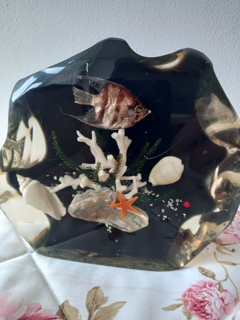 Vintage diorama onderwater sfeer/maanvis/koraal, Antiek en Kunst, Ophalen of Verzenden