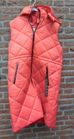 Cream nieuwe gave knalrode bodywarmer maat 46, Maat 46/48 (XL) of groter, Ophalen of Verzenden, Rood, Cream