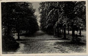 Ede Beukenlaan  - Sijselt st 1946 uitg Haweko beschikbaar voor biedingen
