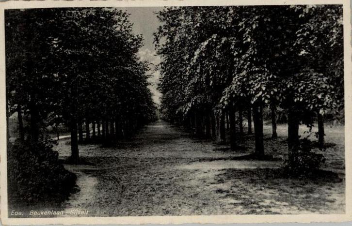 Ede Beukenlaan  - Sijselt st 1946 uitg Haweko, Verzamelen, Ansichtkaarten | Nederland, Gelopen, Gelderland, 1940 tot 1960, Verzenden
