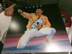 Queen, Freddie Mercury schilderij, Ophalen of Verzenden, Zo goed als nieuw