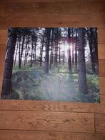Ixxi schilderij bos, Ophalen of Verzenden, Schilderij, 75 cm of meer