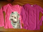 2 roze longsleeves maat 110/116, Kinderen en Baby's, Meisje, Gebruikt, Shirt of Longsleeve, Verzenden