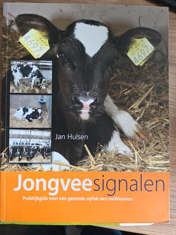 Jongveesignalen - Praktijkgids melkkoeien beschikbaar voor biedingen