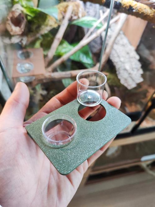 Gecko Feeding/Water Platform, Dieren en Toebehoren, Reptielen en Amfibieën | Toebehoren, Nieuw, Terrarium of Paludarium, Ophalen of Verzenden