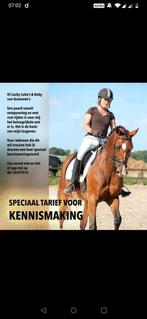 Instructie aangeboden, Dieren en Toebehoren, Paarden en Pony's | Overige Paardenspullen, Ophalen of Verzenden, Zo goed als nieuw