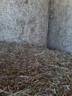 Hooi te koop er komt nieuwe oogst hooi wordt de eerste week, Dieren en Toebehoren, Stalling en Weidegang