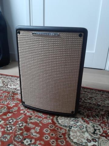 Akoestisch-elektrische gitaarversterker Ibanez Troubadour beschikbaar voor biedingen