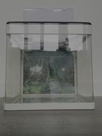 Superfish Panorama 35 LED aquarium met diverse toebehoren, Dieren en Toebehoren, Ophalen, Gebruikt, Leeg aquarium