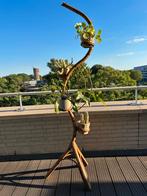 Bamboe planten standaard slang retro, Ophalen, Gebruikt