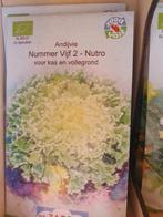 Andijvie Nutrozaden, Tuin en Terras, Planten | Tuinplanten, Ophalen, Eenjarig, Overige soorten, Volle zon