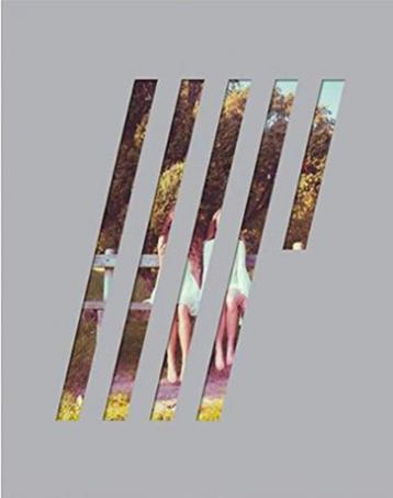 Steven Wilson BR audio ''4 1/2" beschikbaar voor biedingen