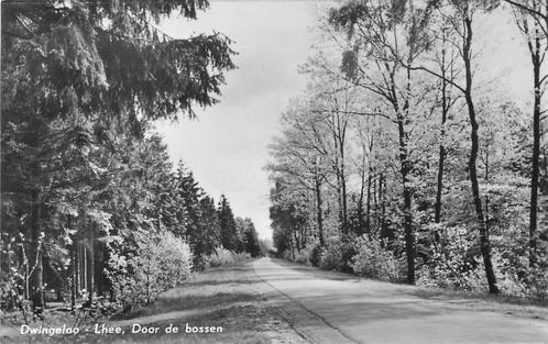 (381-488-025) Dwingeloo Door de bossen, Verzamelen, Ansichtkaarten | Nederland, Drenthe, Voor 1920, Verzenden