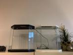 2x ciano aqua 30 led 40x20x40 zwart en wit, Tuin en Terras, Kweekspullen, Ophalen, Zo goed als nieuw