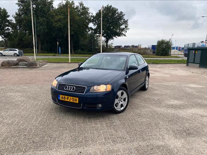 Audi A3 1.6 2004 | Nieuwe apk | Zeer net | Onderhoudsbeurt, Auto's, Audi, Bedrijf, A3, Benzine, B, Hatchback, Handgeschakeld, Origineel Nederlands